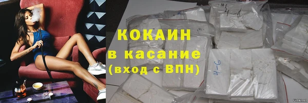 прущие грибы Абинск