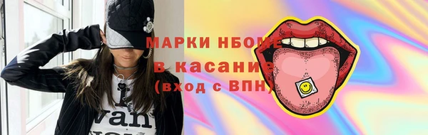 прущие грибы Абинск