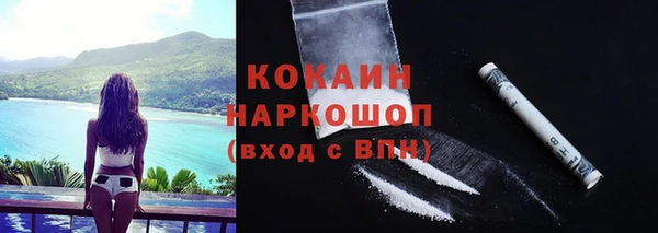амф Новозыбков