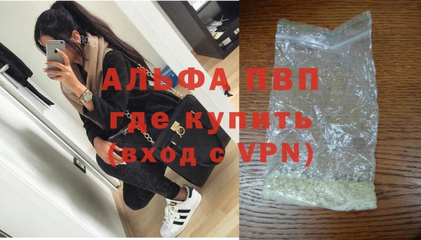 прущие грибы Абинск