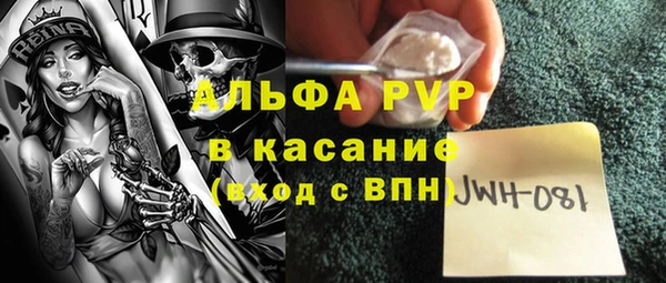 прущие грибы Абинск